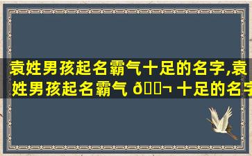 袁姓男孩起名霸气十足的名字,袁姓男孩起名霸气 🐬 十足的名字有哪些